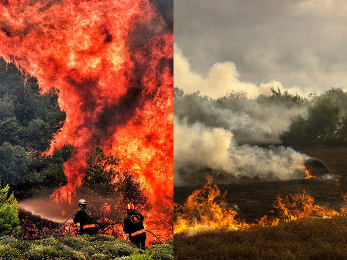 Tehran: 2.5-5 करोड़ साल पुराना The Hyrcanian Forests आग में राख! ईरान ने दुनियाभर के देशों से लगाई मदद की गुहार Tehran: 2.5-5 करोड़ साल पुराना The Hyrcanian Forests आग में राख! ईरान ने दुनियाभर के देशों से लगाई मदद की गुहार