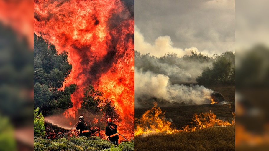 Tehran: 2.5-5 करोड़ साल पुराना The Hyrcanian Forests आग में राख! ईरान ने दुनियाभर के देशों से लगाई मदद की गुहार