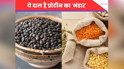 उड़द, मूंग, मसूर या अरहर...ये दाल है प्रोटीन का 'भंडार', शरीर में भर देती है ताकत