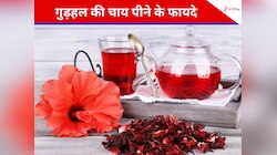 गुड़हल की चाय से कोलेस्ट्रॉल समेत इन परेशानियों का काम तमाम! घर पर कैसे करें तैयार?