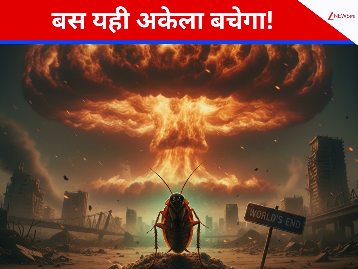 Nuclear Insect this insect can survive after nuclear attack know shocking facts | ये ...