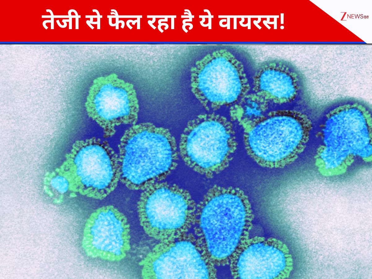 subclade k flu strain H3N2 virus can be Dangerous know its symptoms ...