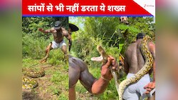 शख्स ने दिखाई गजब की हिम्मत, खतरनाक सांप को यूं ही कंधे पर लादकर चल पड़ा,देखें Video