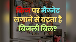 Quiz: फ्रिज पर मैग्नेट लगाने से बढ़ता है बिजली बिल? अभी जान लीजिए सच्चाई