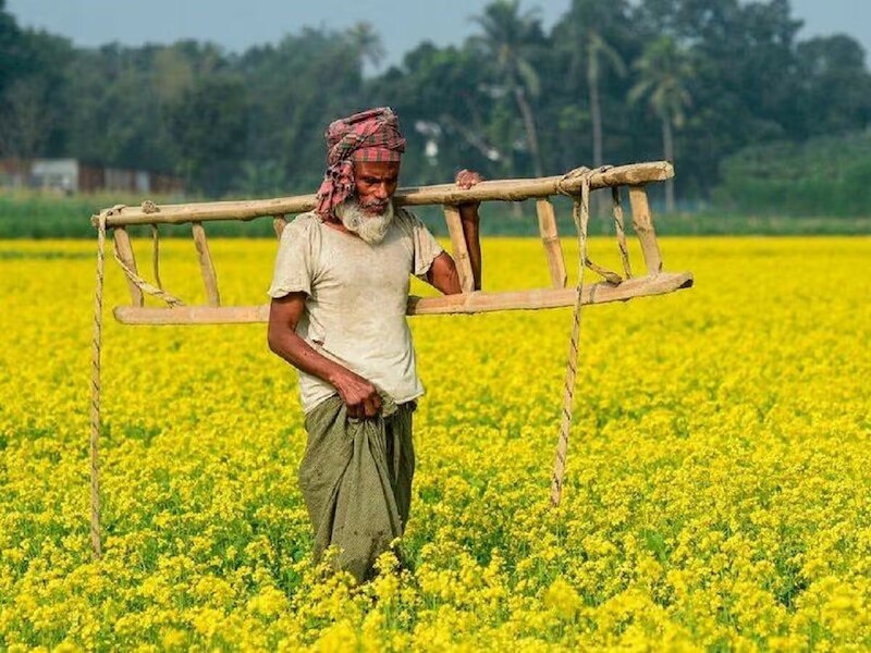 next installment of pm kisan yojana 22st kist credit update for mp ...