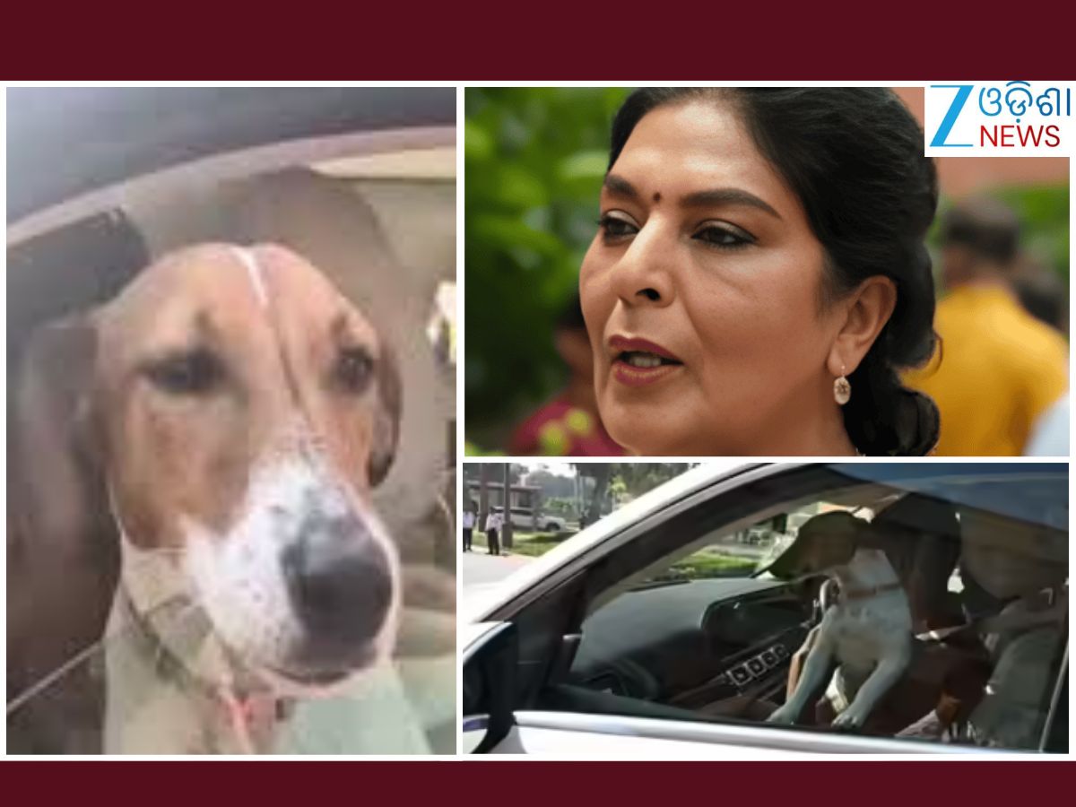 Renuka Chowdhury: କୁକୁରକୁ ନେଇ ସଂସଦ ଗଲେ ସାଂସଦ Renuka Chowdhury: କୁକୁରକୁ ନେଇ ସଂସଦ ଗଲେ ସାଂସଦ