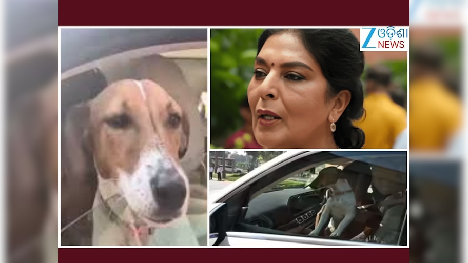 Renuka Chowdhury: କୁକୁରକୁ ନେଇ ସଂସଦ ଗଲେ ସାଂସଦ
