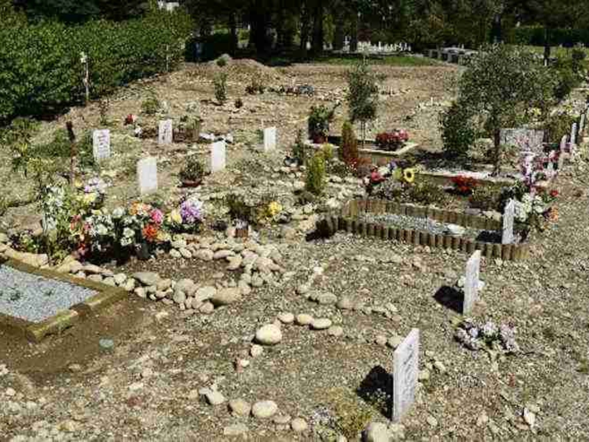 (फाइल फोटो) (फाइल फोटो)