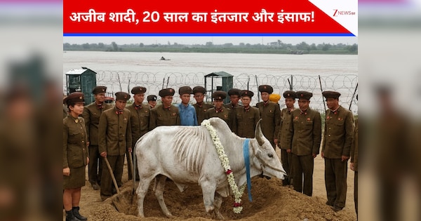 20 साल बाद मिला इंसाफ! बाढ़ में बहकर आए 'शांति के बैल' को बॉर्डर पर किया गया दफन; 1998 में हुई थी अजीबोगरीब शादी