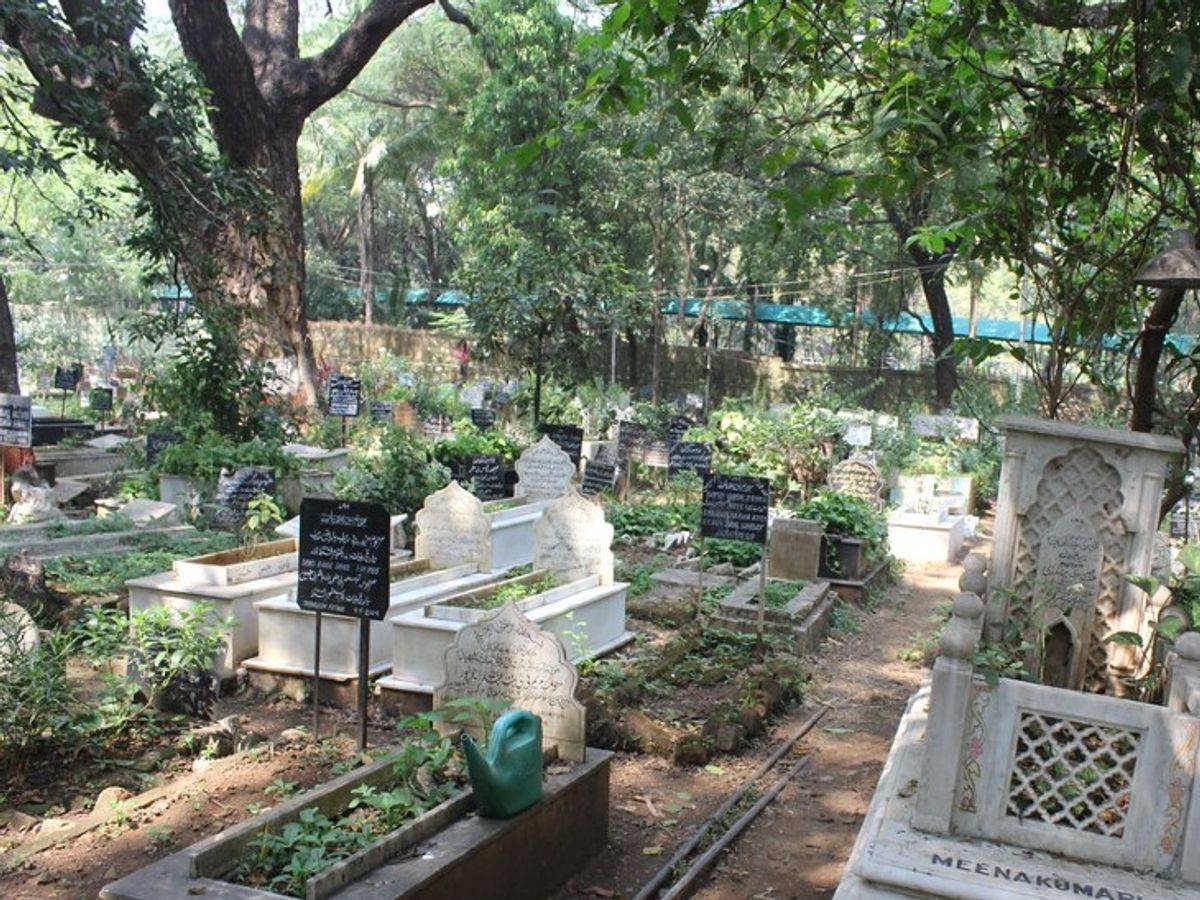 कटिहार में कब्रिस्तान से हटाया गया अतिक्रमण, 5 एकड़ 52 डिसमिल जमीन पर था अवैध कब्जा कटिहार में कब्रिस्तान से हटाया गया अतिक्रमण, 5 एकड़ 52 डिसमिल जमीन पर था अवैध कब्जा