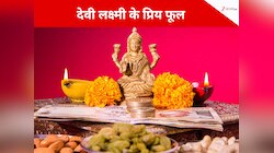 शुक्रवार को मां लक्ष्मी को कौन से फूल चढ़ाएं, माता प्रसन्न होकर धन से भर देंगी घर!