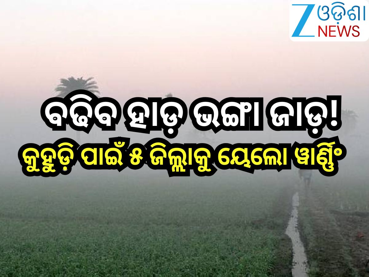Odisha Weather Report: ଖସୁଛି ପାରଦ! ବଢୁଛି ଶୀତ; ଘନ କୁହୁଡି଼ ନେଇ ଏହିସବୁ ଜିଲ୍ଲାକୁ ଓ୍ବାର୍ଣ୍ଣିଂ Odisha Weather Report: ଖସୁଛି ପାରଦ! ବଢୁଛି ଶୀତ; ଘନ କୁହୁଡି଼ ନେଇ ଏହିସବୁ ଜିଲ୍ଲାକୁ ଓ୍ବାର୍ଣ୍ଣିଂ
