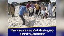 ਪੰਜਾਬ ਸਰਕਾਰ ਨੇ ਕਪਾਹ ਦੀਆਂ ਕੀਮਤਾਂ ₹5,700 ਤੋਂ ਵਧਾ ਕੇ ₹7,500 ਕੀਤੀਆਂ