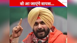ये लोग सिद्धू को आगे नहीं बढ़ने देंगे...पत्नी ने खुलकर बता दिया सबकुछ