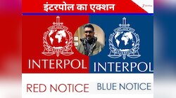 गोवा क्लब मालिकों के खिलाफ नोटिस जारी, क्या आपको पता है, रेड और ब्लू नोटिस में अंतर