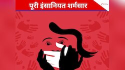 अफगानी शरणार्थियों ने लड़की को पार्क से घसीटकर किया रेप, वकील बोला-वीडियो से दंगे...
