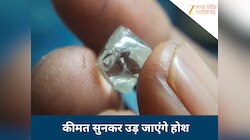 1 साल में चमकी किसान की किस्मत, मिला बेशकीमती हीरा; कीमत सुन खुशी से उछल पड़ा राजेंद