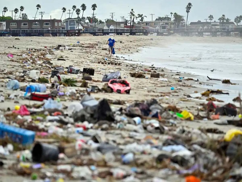 वेनिस बीच, कैलिफोर्निया (अमेरिका) 