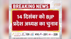 UP BJP प्रदेश अध्यक्ष का चुनाव कब? इस दिन होगा नामों का ऐलान, रेस में ये शामिल  
