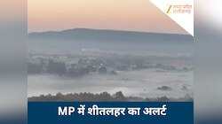 सर्द हवाओं से ठिठुरा मध्य प्रदेश, शहडोल में तापमान 3 डिग्री, कड़ाके की ठंड का अलर्ट