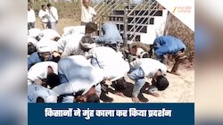 बुरहानपुर में किसानों का अनूठा विरोध, मुंह पर कालिख पोतकर, मुर्गा बनकर किया प्रदर्शन