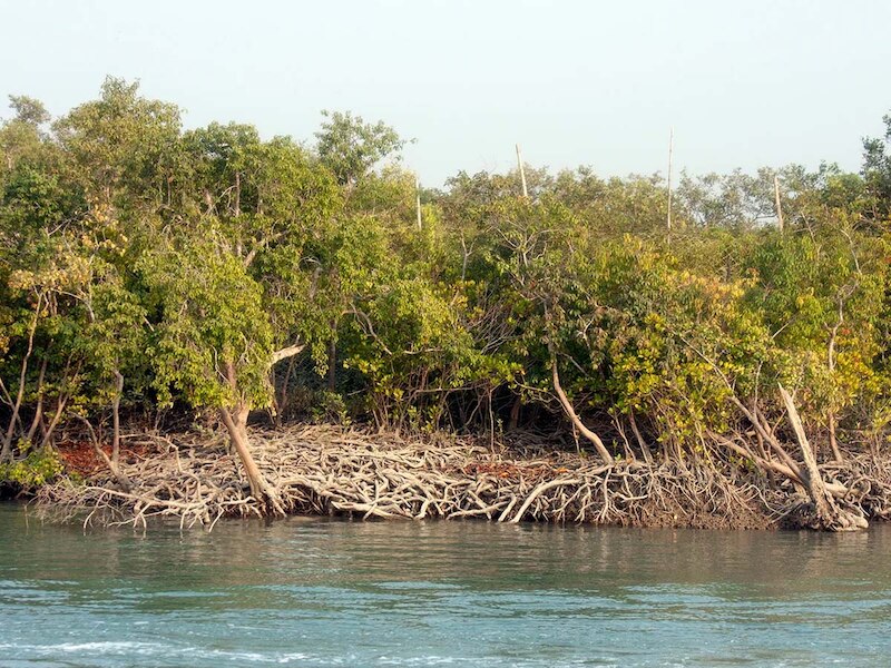 गंगा नदी का समापन कहां होता है