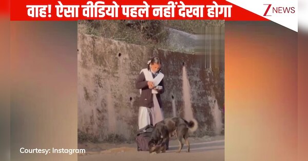 school girl feeds roti from her lunch see hungry dog on street users ...