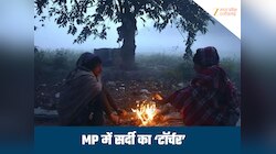 MP में दिसंबर में सर्दी ने ढाया कहर, पचमढ़ी से भी ठंडा रहा इंदौर, कई जिलों में अलर्ट