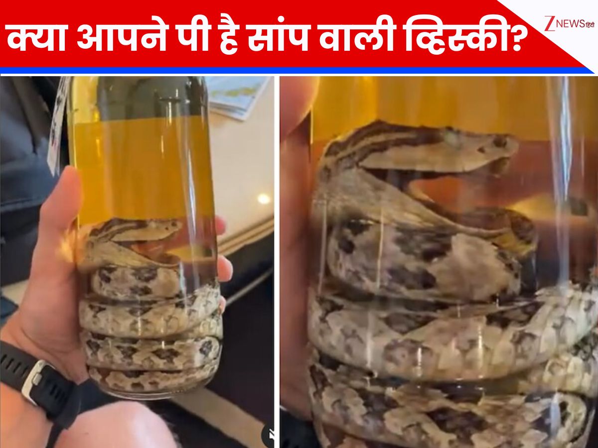 snake-whiskey-in-japan-you-will-get-goosebumps-just-by-looking-at