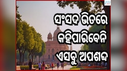 Unparliamentary Words: ସଂସଦରେ ଅପଶବ୍ଦର ବ୍ୟବହାର କରିଥିଲେ ଅମିତ୍ ଶାହା...ଜାଣନ୍ତି କି କେଉଁ ପ