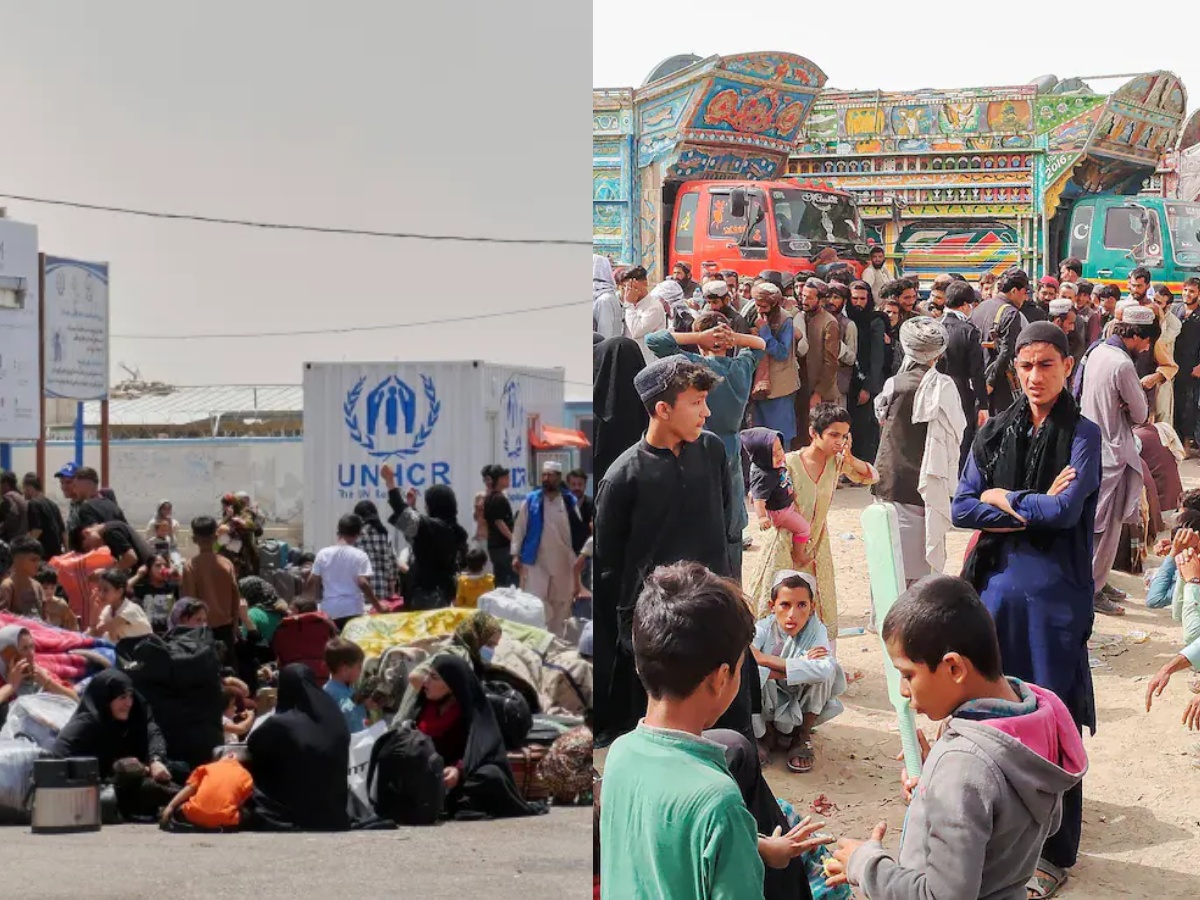 पाकिस्तान और ईरान ने हजारों शरणार्थियों को देश से बाहर निकाला (फाइल फोटो) पाकिस्तान और ईरान ने हजारों शरणार्थियों को देश से बाहर निकाला (फाइल फोटो)