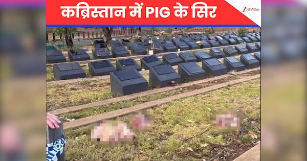 मुस्लिम कब्रिस्तान में फेंके सुअर के कटे हुए सिर... ऑस्ट्रेलिया में आतंकी हमले के बाद एक और शर्मनाक हरकत