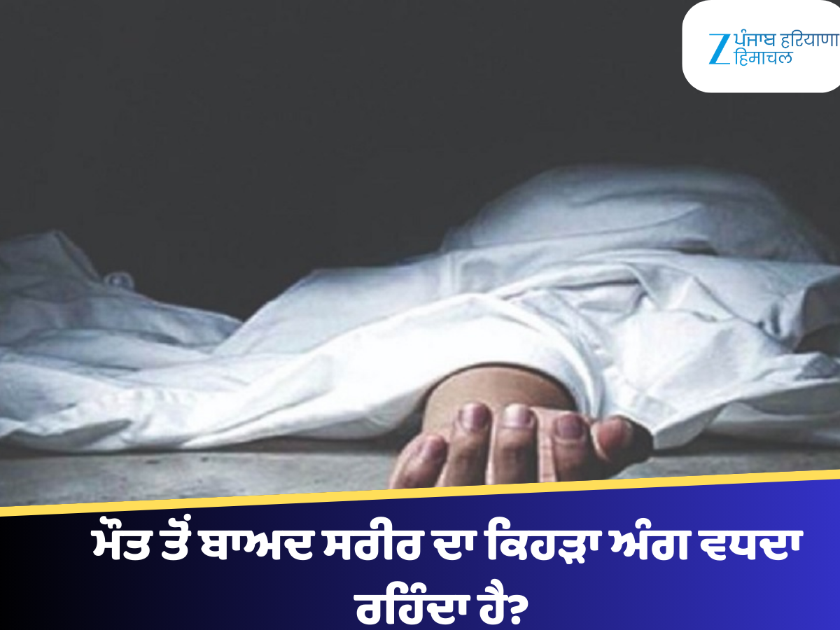 ਮੌਤ ਤੋਂ ਬਾਅਦ ਸਰੀਰ ਦਾ ਕਿਹੜਾ ਅੰਗ ਵਧਦਾ ਰਹਿੰਦਾ ਹੈ? 99% ਲੋਕਾਂ ਨੂੰ ਨਹੀਂ ਪਤਾ ...