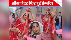 पाकिस्तानी सीमा हैदर फिर हुई प्रेग्नेंट! छठे बच्चे की खबर पर हीरो बने ‘लप्पू सचिन’