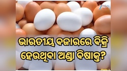 ଭାରତୀୟ ବଜାରରେ ବିକ୍ରି ହେଉଥିବା ଅଣ୍ଡା ବିଷାକ୍ତ? ଦେଶବ୍ୟାପୀ ନମୁନା ସଂଗ୍ରହ କରୁଛି FSSAI
