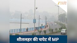 शीतलहर से कांपा मध्य प्रदेश, कोहरे ने रोकी गाड़ियों की रफ्तार, ठंड में सावधानी रखिए