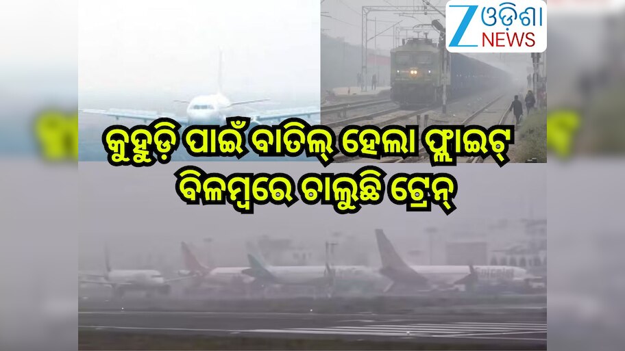 Flights Cancelled: ଘନ କୁହୁଡି଼ ପାଇଁ ଏହିସବୁ ସ୍ଥାନରୁ ବାତିଲ୍ ହେଲା ଫ୍ଲାଇଟ୍ -ବିଳମ୍ବରେ ଚାଲୁଛି ଟ୍ରେନ୍; ଦେଖନ୍ତୁ ତାଲିକା