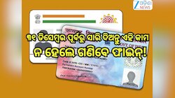 PAN-Aadhaar Link: ୩୧ ଡିସେମ୍ବର ପୂର୍ବରୁ ସାରି ଦିଅନ୍ତୁ ଏହି ତିନି କାମ, ନହେଲେ ଗଣିବେ ଫାଇନ୍!