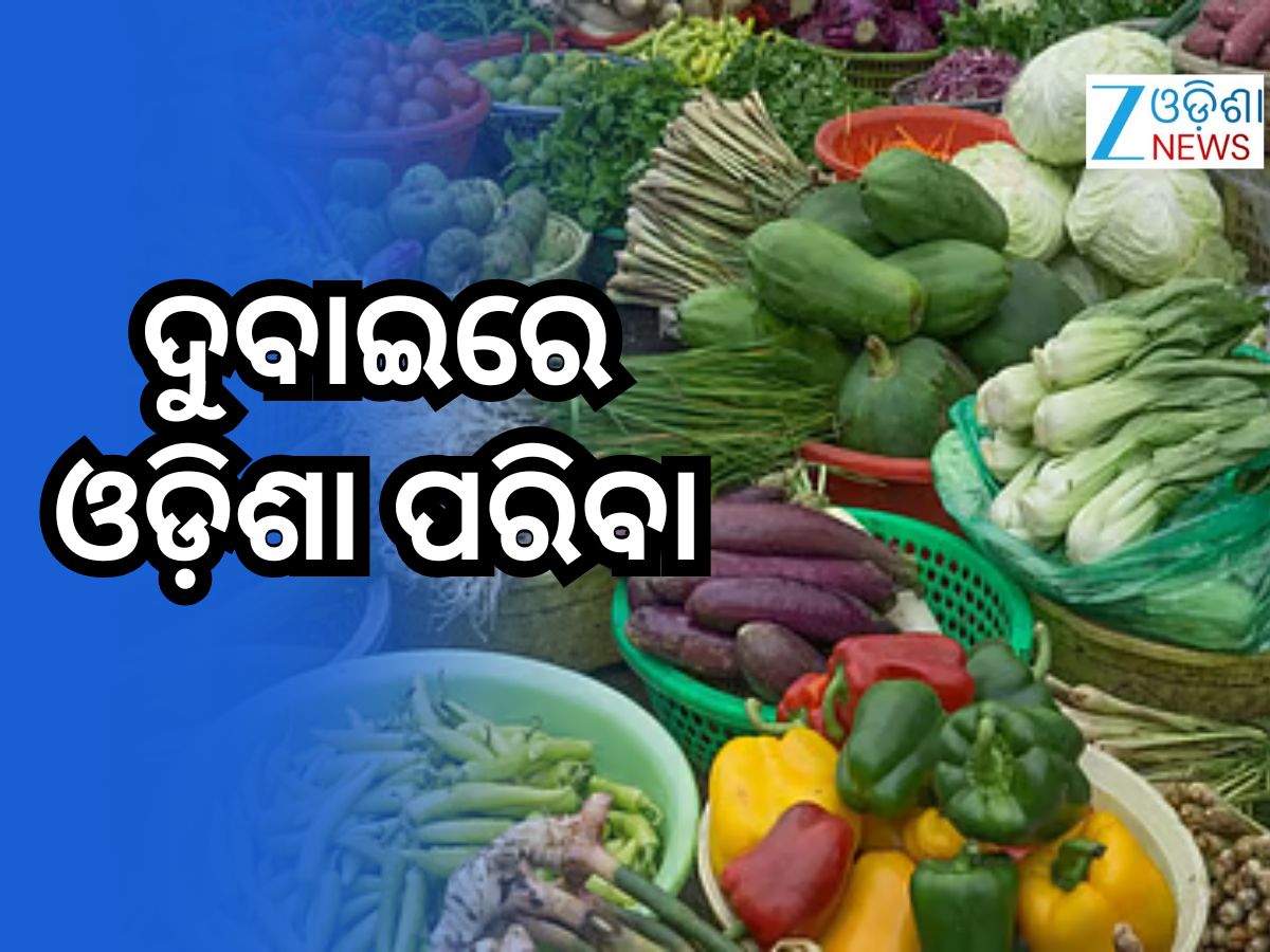 ଓଡ଼ିଶା ପନିପରିବା ଖାଇବେ ଦୁବାଇବାସୀ, ରପ୍ତାନୀ ହେଲା ୧ଟନ୍ ଓଡ଼ିଶା ପନିପରିବା ଖାଇବେ ଦୁବାଇବାସୀ, ରପ୍ତାନୀ ହେଲା ୧ଟନ୍