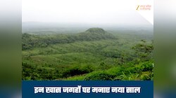 महंगे हिल स्टेशन को भूल जाइए! नए साल पर MP की इस जगह पर मनाएं जश्न, देखें फोटोस