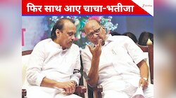 BMC चुनाव में चाचा की शरण में पहुंचे अजित पवार, साथ मिलकर लड़ेंगे चुनाव