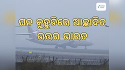 Weather Updates: ଉତ୍ତର ଭାରତରେ ଘନ କୁହୁଡି, ବିମାନ ଚଳାଚଳରେ ଗୁରୁତର ବ୍ୟାହତ