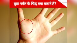 क्या बताता है हथेली का शुक्र पर्वत, जानें इस पर बने निशान के क्या मिलते हैं संकेत!