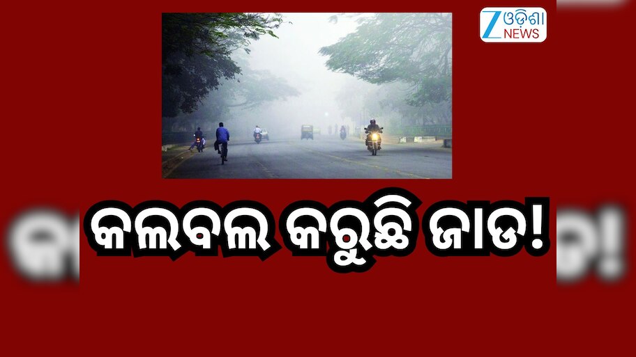 Odisha Weather Report: ରାଜ୍ୟରେ ଜାରି ରହିଛି ଶୀତ ଲହରୀ!ଘନକୁହୁଡ଼ି ନେଇ ଏହିସବୁ ଜିଲ୍ଲାକୁ ଅରେଞ୍ଜ ଆଲର୍ଟ ଜାରି