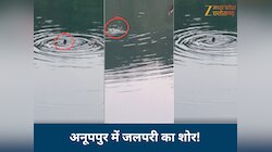 अनूपपुर में जलपरी का शोर! हड्डी गलाने वाली ठंड में 48 घंटे बर्फीले पानी में रही