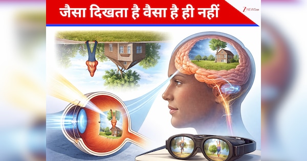 How human eyes see upside down image and brain corrects vision science ...