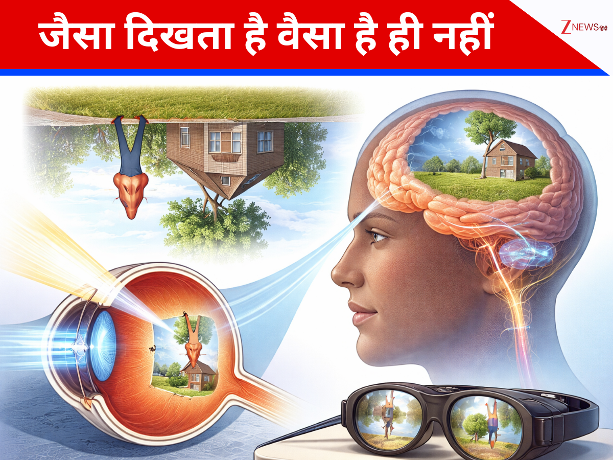 Vision Reverse Image How human eyes see upside down image and brain corrects vision science ...