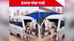 Trending Video: देसी जुगाड़ से बना डाली 'BMW घोड़ा गाड़ी'... VIDEO देख दंग रह गए लोग