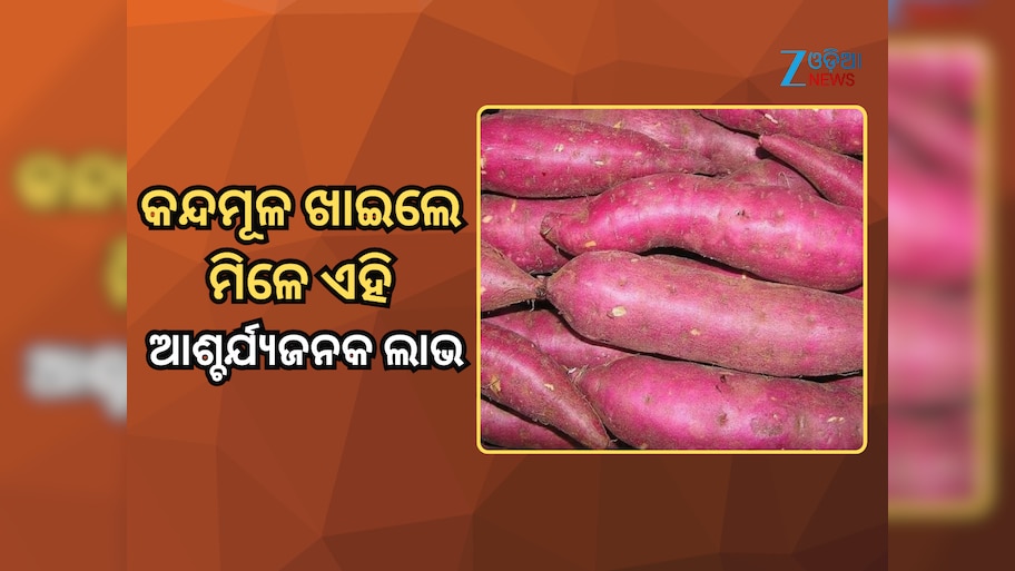 Sweet potato benefits: ଶୀତ ଦିନେ ଖାଆନ୍ତୁ କନ୍ଦମୂଳ; ପାଇବେ ଏହି ସବୁ ଆଶ୍ଚର୍ଯ୍ୟଜନକ ଲାଭ