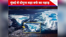 मुंबई से दोगुना बड़ा आइसबर्ग हो रहा है खत्म, NASA ने अंतरिक्ष से दिखाई तस्वीर
